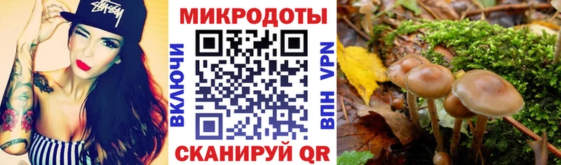 Псилоцибиновые грибы GOLDEN TEACHER  Новоуральск 