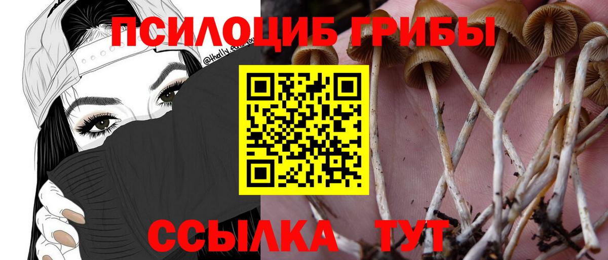 Новоуральск  Галлюциногенные грибы Psilocybe  Вход с VPN  Галлюциногенные грибы Magic Shrooms 