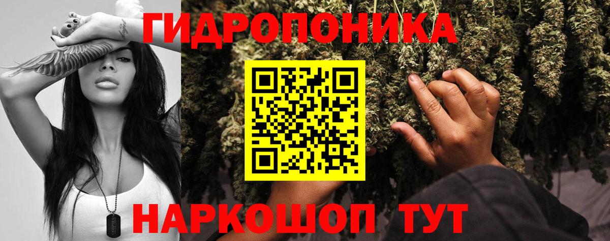 Бошки Шишки семена Новоуральск
